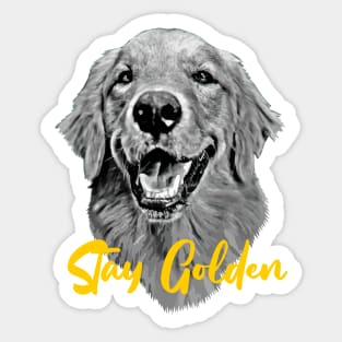 Golden Retriever Stay Golden Sticker